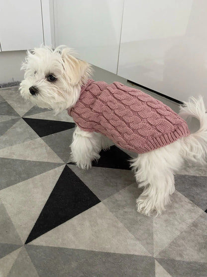 Warm Dog Clothes Knitted Clothes for Dogs Chihuahua Sweater for Small Dogs Winter Clothes for Sphinx Cat Dog Sweater for York