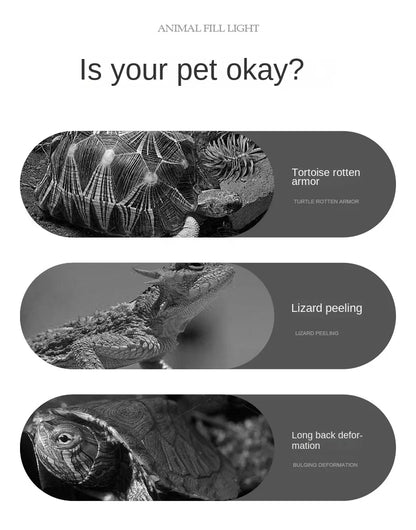 UVA+UVB Reptile Full Spectrum LED Light Turtle Lizard Snake Terrarium Sunbathe Heat Lamp 10.0 20.0 Sun Lamp Sunbathe Heat Lamp