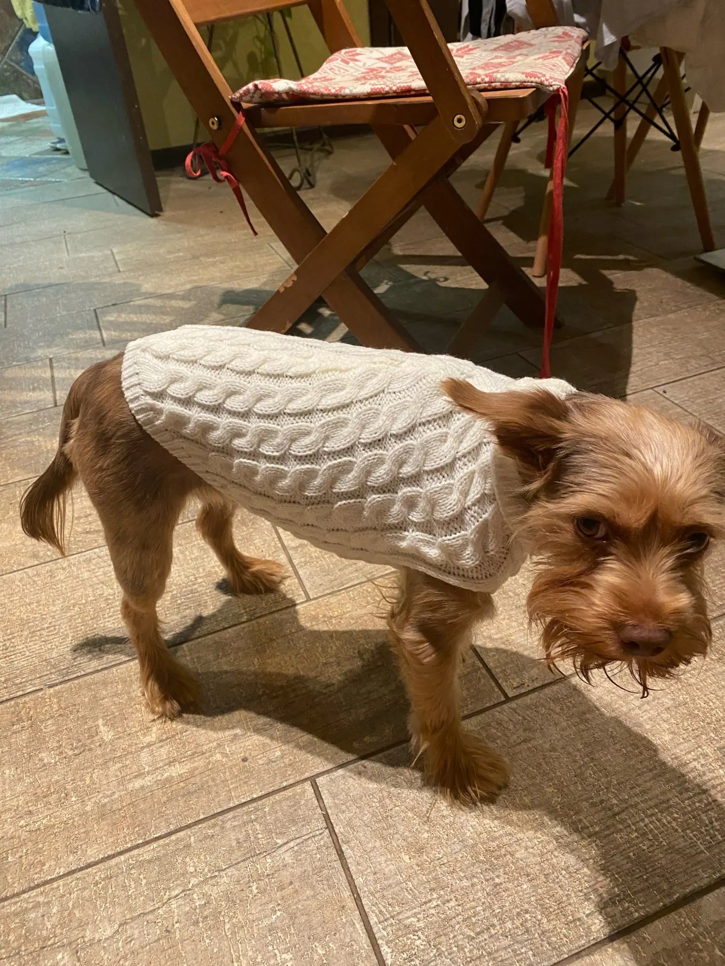 Warm Dog Clothes Knitted Clothes for Dogs Chihuahua Sweater for Small Dogs Winter Clothes for Sphinx Cat Dog Sweater for York