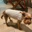 Knitted Clothes For Dogs Chihuahua Sweater For Small Dogs Winter Clothes For Sphinx Cat Dog Sweater For York Warm Dog Clothes