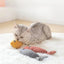 Teeth Grinding Catnip Toys Funny Interactive Plush Cat Toy Pet Kitten Chewing Vocal Toy Fish Bite Cat mint For Cats
