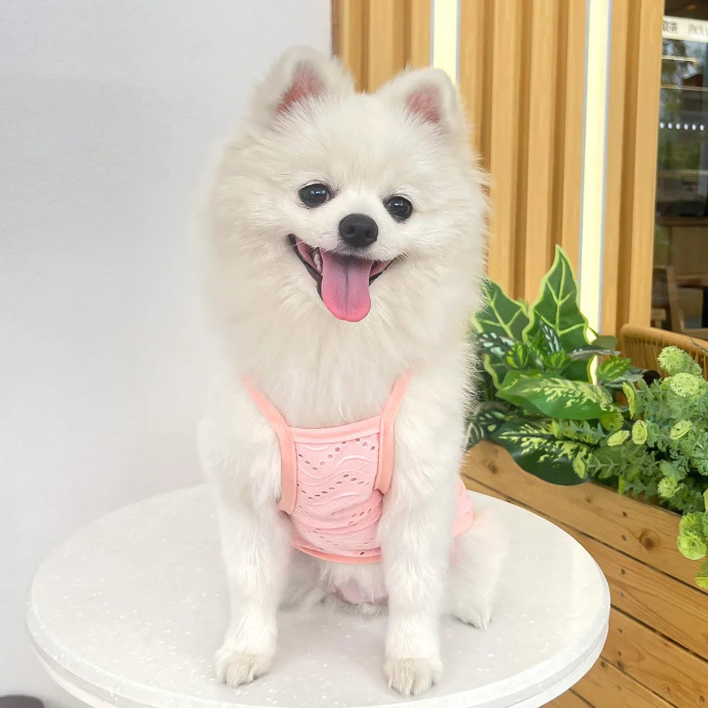 Spring and summer small dog clothing minimalist suspender thin breathable small and medium-sized dog pet cat clothing supplies
