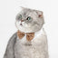 Pet Dog Cat Adjustable Bow Tie Collar Puppy Necktie Bowknot Bowtie Pet Cat Holiday Wedding Decoration Accessories for Small Dogs