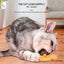 Catnip Wall Spin Ball Catnip Ball Toy Edible Cat Catnip Toys Promotes Digestion Enhances Appetite Wall Cat Lick Ball for Cat
