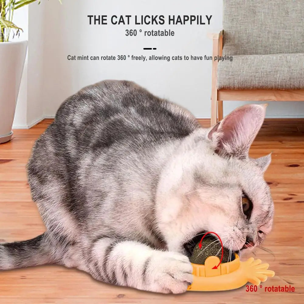 Catnip Wall Spin Ball Catnip Ball Toy Edible Cat Catnip Toys Promotes Digestion Enhances Appetite Wall Cat Lick Ball for Cat