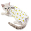 Cat Sleeveless Shirt Cat Recovery Suit Breathable E-Collar Alternative Vest for Cat Small Puppy Cute Printed Cotton Pet Clothes