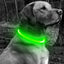 50cm LED Luminous Dog Collar Waterproof And Dustproof Visual Night Dog Walking To Prevent Lost Creative Color Dog Sub-sign Light