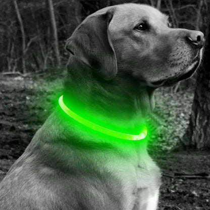 50cm LED Luminous Dog Collar Waterproof And Dustproof Visual Night Dog Walking To Prevent Lost Creative Color Dog Sub-sign Light
