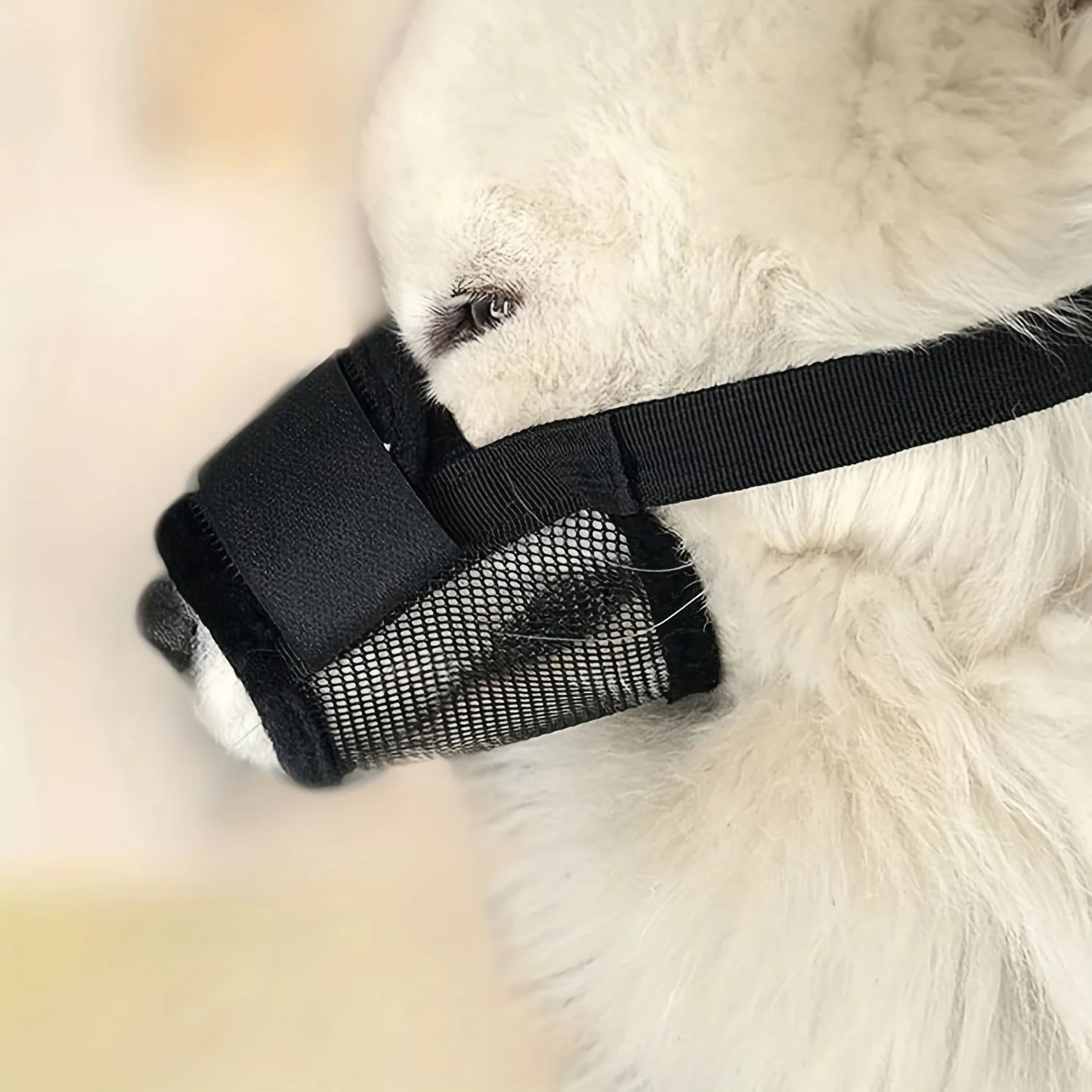 Puppy Accessories Chewing Dog Harness Barking - Essential Accessory Pets Dogs  Lanyard Collar Nylon