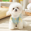 Cute Pet Dog Sweater Winter Dog Warm Clothes Palid Puppy Coat Chihuahua Bichon Yorkie Clothing Sweaters and Hat Set Dog Costume