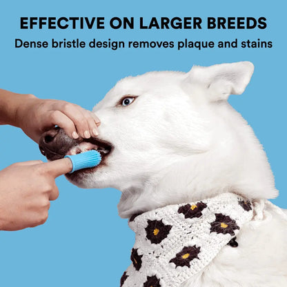 Pet cleaning supplies accessories cat and dog shower brushes pet nail clippers files cat and dog finger toothbrushes