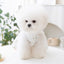 Summer Dog Dress Luxury Dog Clothes Pet Dog Apparel Bow Puppy Mesh Skirt Chihuahua Bichon Clothing Kitten Lace Dog Cooling Vest