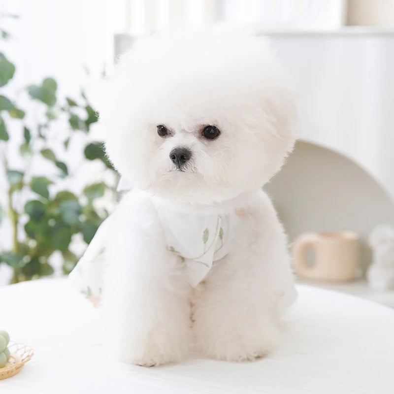 Summer Dog Dress Luxury Dog Clothes Pet Dog Apparel Bow Puppy Mesh Skirt Chihuahua Bichon Clothing Kitten Lace Dog Cooling Vest