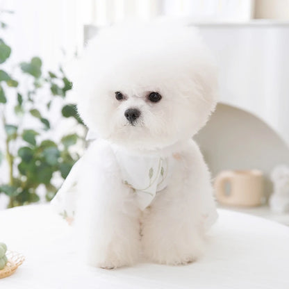 Summer Dog Dress Luxury Dog Clothes Pet Dog Apparel Bow Puppy Mesh Skirt Chihuahua Bichon Clothing Kitten Lace Dog Cooling Vest