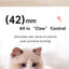 Cat Interactive Ball Smart Pet Cat Toys Indoor Automatic Rolling Magic Ball Electronic Interactive Cat Toy Cat Game Accessories