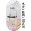 Silent Fine Needle Stainless Steel Striking Needle Water Bottle, Dragon Cat Beige Long Hair  Feed Water, Drinking Bottle