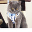 Dog Harness with Bow Plaid Cat Harness Adjustable Length Pet Harness with Dog Leash Four Colors Dog Harness and Leash Set