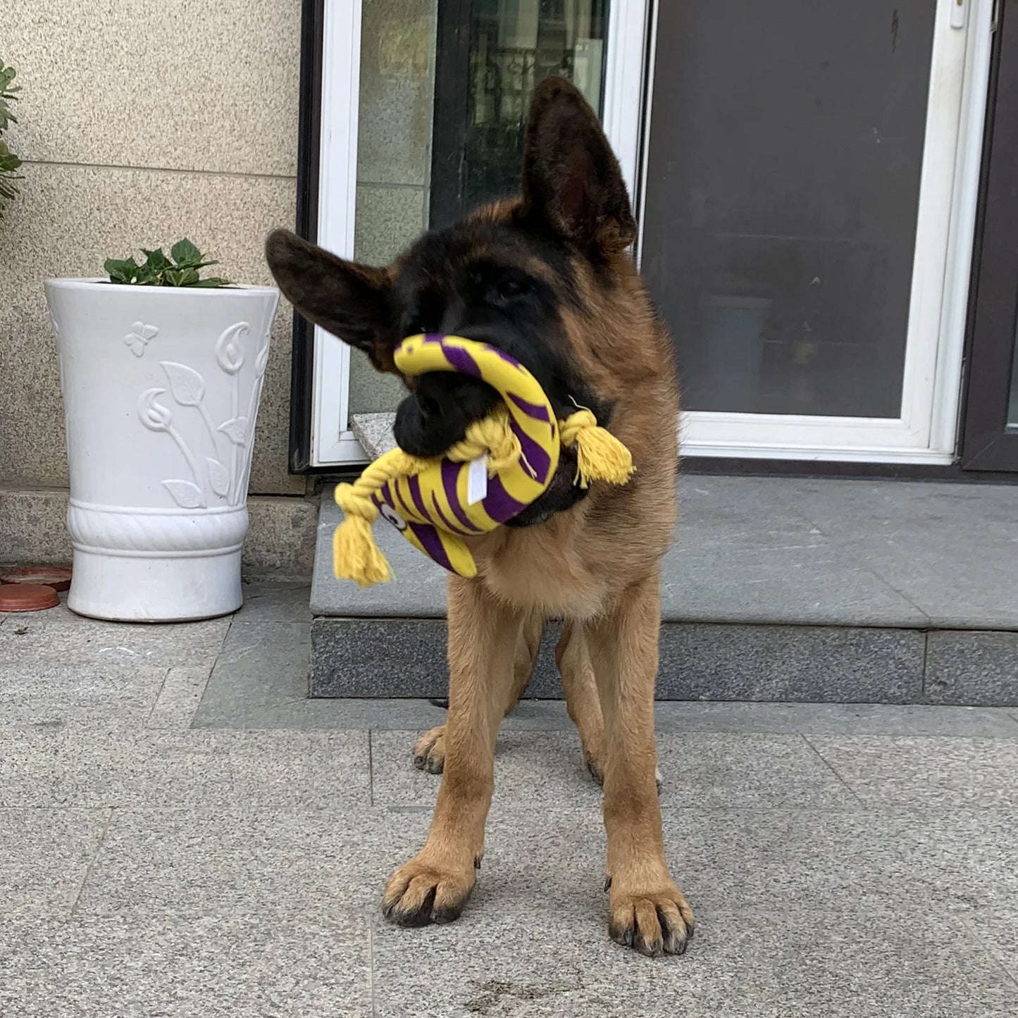 Dog Plush Toy Large And Medium-sized Dog Pet Toys Spot Plush Stuffed Lizard Squeaking Dog Toys Fleece Squeak Toys