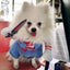 Funny Halloween Dog Costume For Small Medium Dogs Cats Adjustable Puppy Cosplay Party French Bulldog Chihuahua Pet Clothing