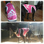 Dog Clothes Shirt Pet Cooling Vest Small Dogs Comfortable Costume Puppy Outfits Breathable Clothes Yorkshire Terrier Chihuahua
