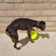 Giant Tennis Ball For Dog Chew Toy Pet Dog Interactive Toys Big Inflatable Tennis Ball Pet Supplies Outdoor Cricket Dog Toy