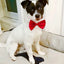 50pcs Mix Color Bow Ties Bowknot for Dogs Cat Grooming Accessories Small Animal Children Adjustable Bowtie Pet Product Wholesale