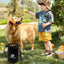 Dog Training Treat Bag Food Dispenser Snack Bags For Dog Training Treat Pockets Puppy Treat Bag Accessories For Kibble Treats