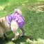Female Dog Diapers Washable Pet Underwear for Girl Puppies Large Dogs Panties Sanitary Physiological Pants for Dogs Pet Supplies