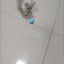 Cat Interactive Ball Smart Pet Cat Toys Indoor Automatic Rolling Magic Ball Electronic Interactive Cat Toy Cat Game Accessories