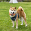 Reflective Dog Collar Adjustable Cat Collar Safety Nylon Pet Collar Durable Comfortable Reflective Pet Collar Pet Supplies