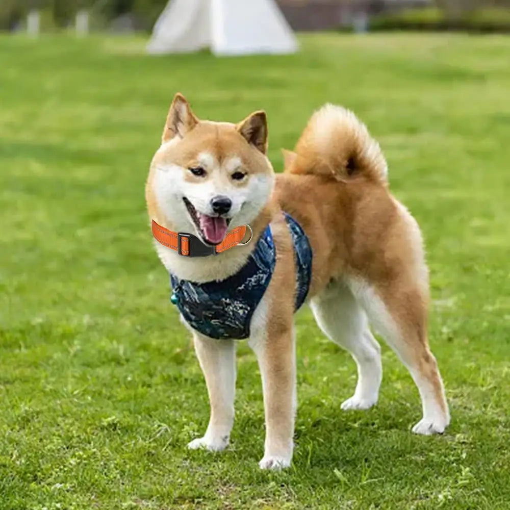 Reflective Dog Collar Adjustable Cat Collar Safety Nylon Pet Collar Durable Comfortable Reflective Pet Collar Pet Supplies