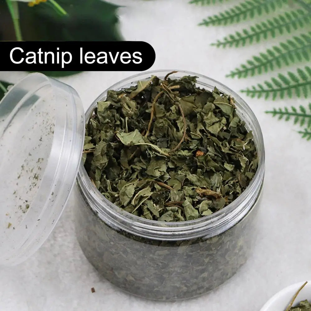 Catnip Organic 100 Natural Premium Cattle Grass Non-toxic Interactive Funny Cat Toy Healthy Safe Catnip Pet Toys Nepeta Cataria