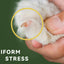 Professional Dog Nail Clippers Puppy Nail Clippers Trimmer Dog Nail Trimmers Grooming Tools Cat Nail Trimmer with Round Holes