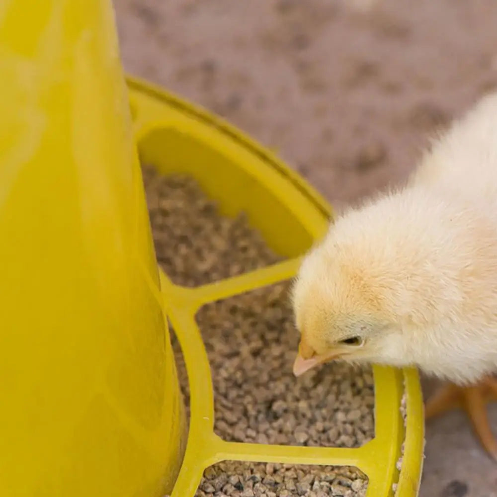 Chicken Feeder Baby Chick Feeder Poultry Feeder with Large Capacity Automatic Chicken Food Dispenser Picnic Table Feeder