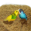 100g Bird Nesting Material Multipurpose Natural Coconut Fiber Nest Making Supply For Birds Hen Small Animal Nest Making Stuff