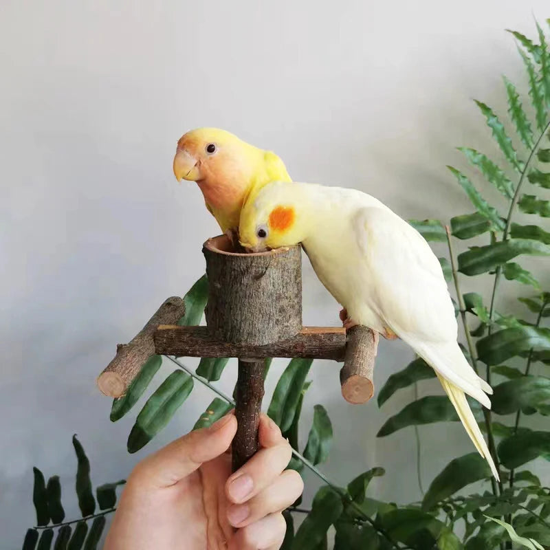 Natural Wood Toy Pet Parrot Raw Wood Stand With wooden feeding bowl Rack Squirrel Bird Hamster Branch Perches Chew Bite Toys