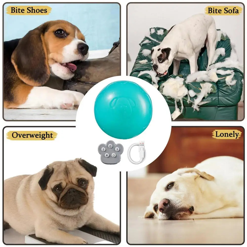 Automatic Rolling Ball Toys Safe Dog Toy Balls Bite Resistant Dog Toys Puppy Toys Fun Interactive Play for Pet Dog Puppy