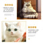 Pet Cat Toy Spring Swing Fish Hair Fish Tease Cat Pet Plastic Toy Pet Cat Toys Interactive Pet Products for Cats