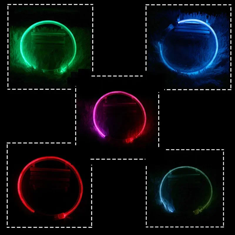 Dog Collar Luminous Usb Cat Dog Collar 3 Modes Led Light Glowing Loss Prevention LED Collar For Dogs Pet Dog Accessories