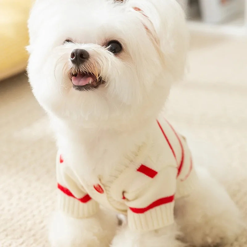 Dog Sweater for Small Dogs Luxury Dog Clothes Striped Pet Cardigan Knitted Coat Chihuahua Costume Bichon Clothing Puppy Jacket
