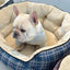 Kennel deep sleep high backrest small and medium sized teddy fight warm thickened autumn and winter new kennel cat litter dog