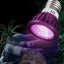 Reptile 110/220V Night Lamp Imitation Moonlight Light Night Sleep Lighting Lamp for Turtle Lizard Snake Reptile Amphibian
