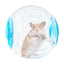 Hamster Run Ball Cute Hamster Exercise Toys For Small Animal Breathable Silent 7-inch Dwarf Hamster Running Ball Transparent