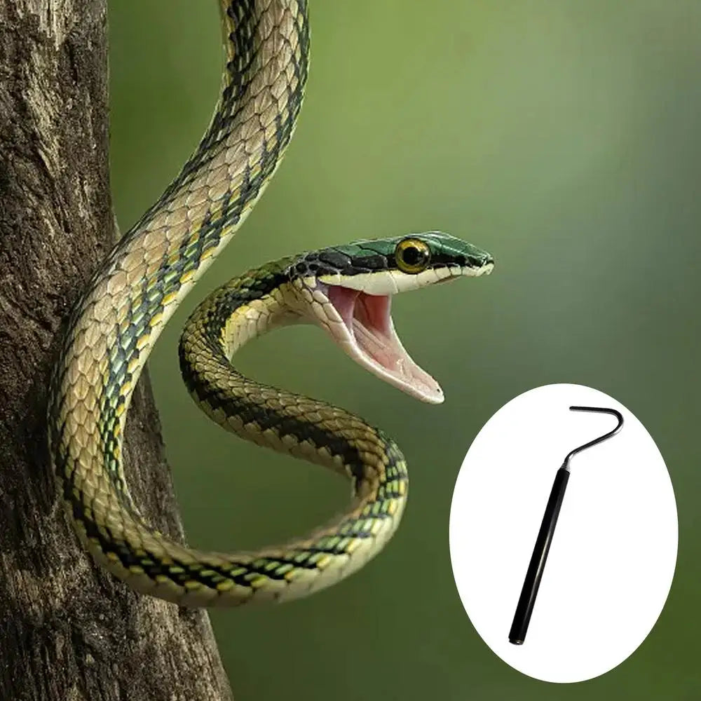 Small Snake Hook Professional Snake Pole Reptile Hook Length 6.30-26.78in Maintain A Safer Distance For Catching Controlling