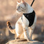Cat Harness and Leash for Walking, Escape Proof Soft Adjustable Vest Harnesses for Cats, EasyControl