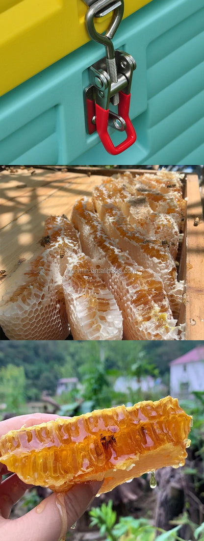 Small Investment And High Profits Honey Bee Hives For Sale Rearing Tools Beehive