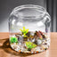 Large Turtle Tank Transparent Turtle Aquarium Turtle Tank With Lid Turtle Terrarium Tortoise Enclosure With Removable Cover