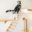 Cat Climbing Shelf Furniture Wooden Shelves for Cats Perches Activity Cat Tree Scraper Stairs Scratching Post Cat Wall Furniture