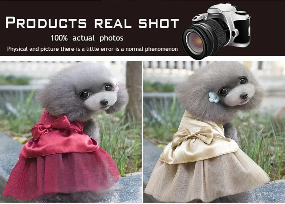Dog Wedding Dress Cotton Lace Floral Dress For Small Dogs Chihuahua Summer Puppy Dress Pomeranian Princess Tutu Yorkshire Clothe