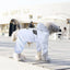 Dog Raincoat Quick Dry Pet Reflective & Adjustable Rain Poncho Jacket Waterproof & Windproof Puppy Hooded Cloak 4 Legs Raincoat